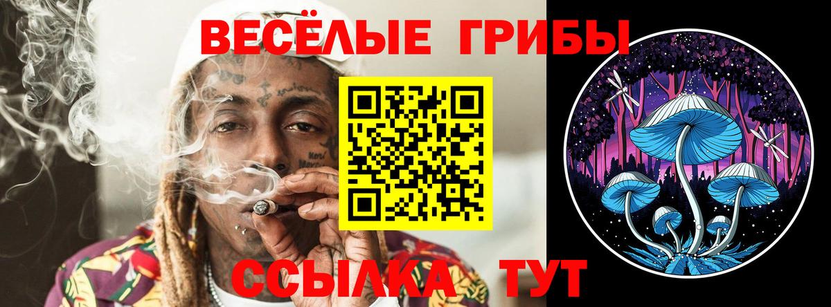 Галлюциногенные грибы мухоморы  Галлюциногенные грибы MAGIC MUSHROOMS  цены наркотик  Вход с VPN  Кушва 