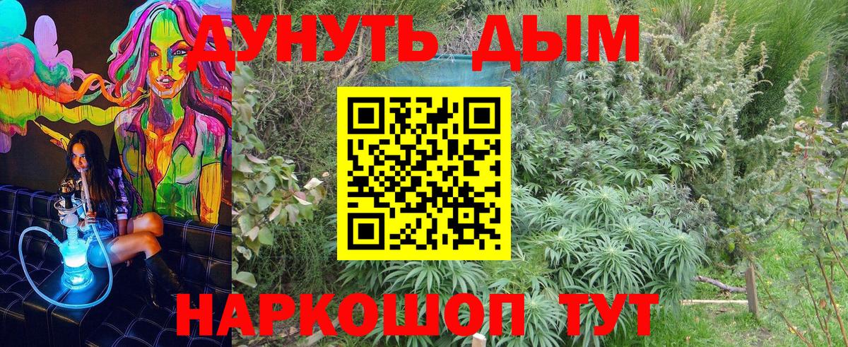 МАРИХУАНА AK-47  Вход с VPN  Кушва  МАРИХУАНА ГИДРОПОН 